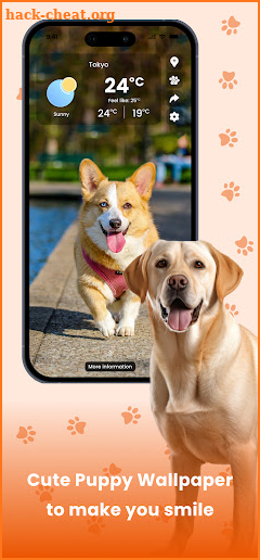 Cat & Dog Weather screenshot