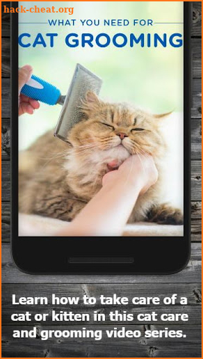 Cat Care & Grooming screenshot