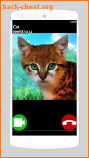 Cat Fake Video Call screenshot