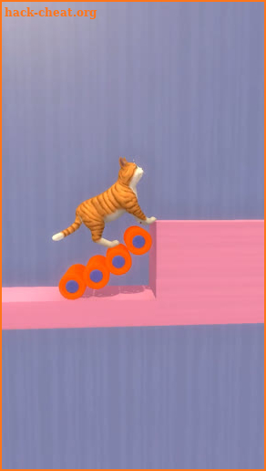 Cat Maze 3D screenshot