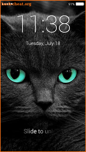 Cat Password Lock Screen screenshot