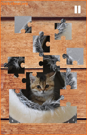 Cat Puzzle - Katze.org screenshot