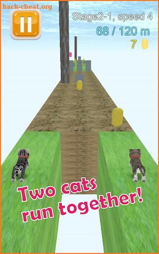 Cat Run screenshot