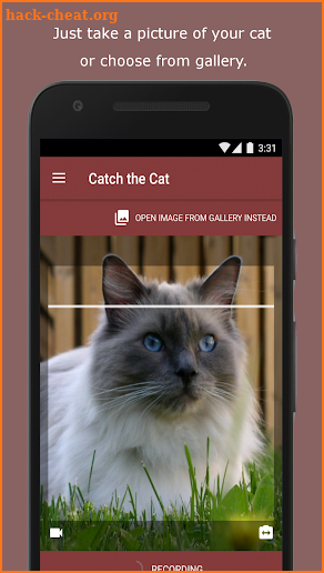 Cat Scanner screenshot