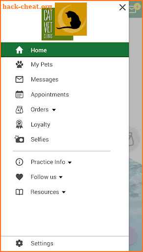 Cat Vet Clinic screenshot