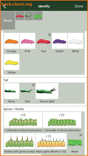 Caterpillar Id USA East Coast screenshot