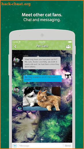 Cats Amino screenshot