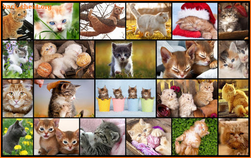 Cats & Kitten Kids Puzzle Game screenshot