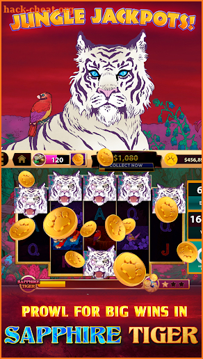 CATS Casino – Real Hit Slot Machine! screenshot