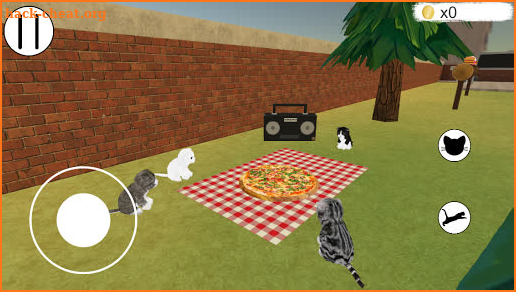 Cats Park screenshot