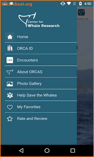 Center for Whale Research screenshot