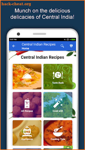 Central Indian Food Recipes screenshot