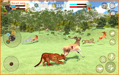 Cheetah Attack Simulator screenshot