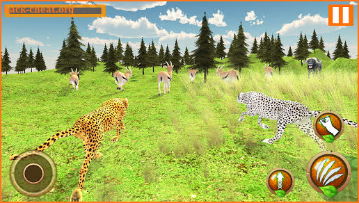 Cheetah Family Simulator screenshot