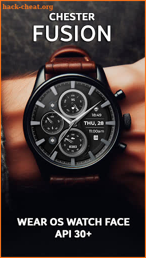 Chester Fusion watch face screenshot