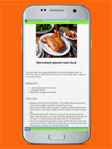 Christmas Dinner Recipes screenshot