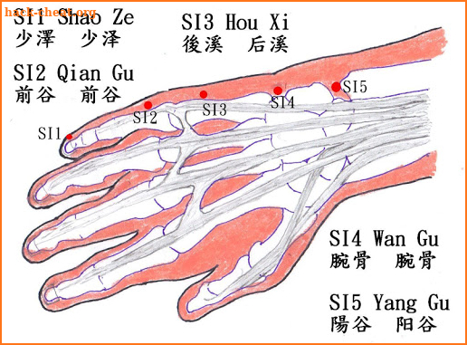 Chrono-Acupuncture screenshot