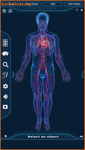 Circulatory System Anatomy screenshot