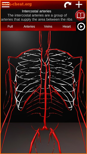 Circulatory System in 3D (Anatomy) screenshot