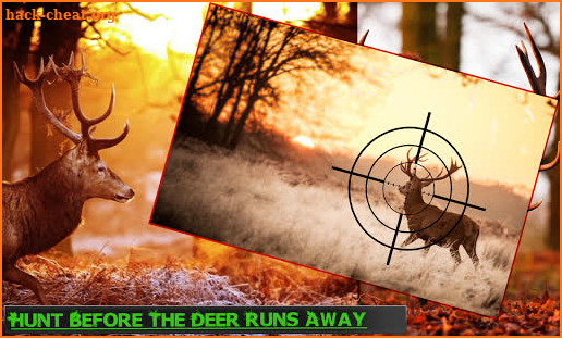 CLASSIC DEER HUNTER 2020:SNIPER SHOOTER screenshot