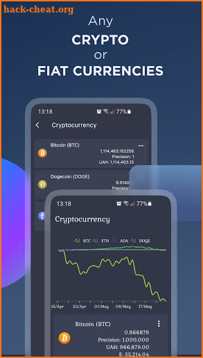 Coin Flow: Expense Manager screenshot