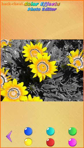 Color Effects Photo Editor screenshot