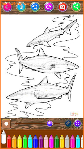 Coloring Book Baby Shark screenshot