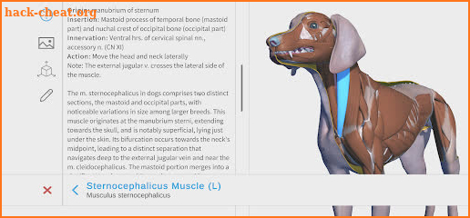 Complete Canine 3D - anatomy screenshot