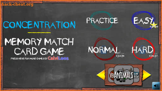 Concentration Memory Match Brain Game screenshot