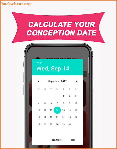 Conception Date Calculator App screenshot