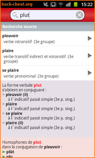 Conjugaison screenshot