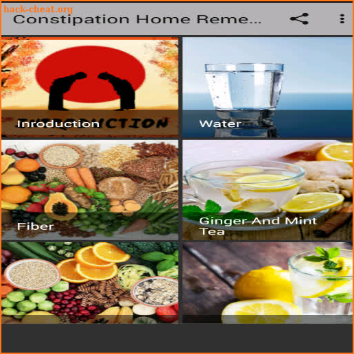 Constipation Home Remedies screenshot