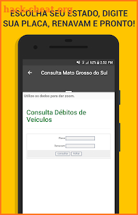 Consulta Multas e Débitos de Veículos screenshot