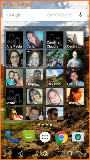 Contacts Widget screenshot