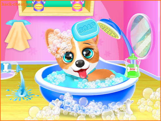 Corgi Pet Daycare Baby Puppy Nursery screenshot