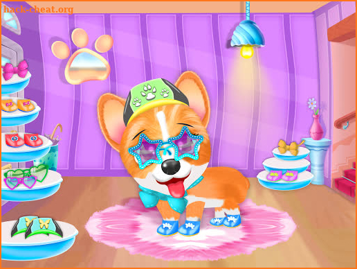 Corgi Pet Daycare Baby Puppy Nursery screenshot