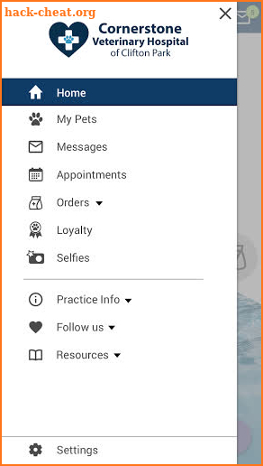 Cornerstone Veterinary Hospital screenshot