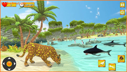 Cougar Survival Sim:  Wild Animals Hunt 3D screenshot