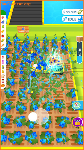 Cranberry Harvest screenshot