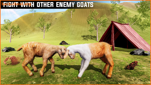 Crazy Goat Simulator 3D screenshot