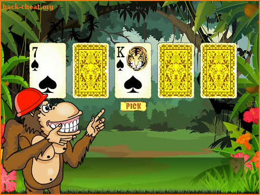 Crazy Monkey screenshot