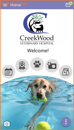 CreekWood Vet screenshot