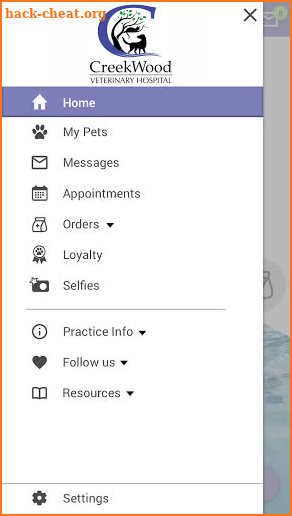 CreekWood Vet screenshot