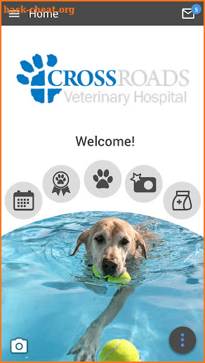 Crossroads Vet Hospital screenshot