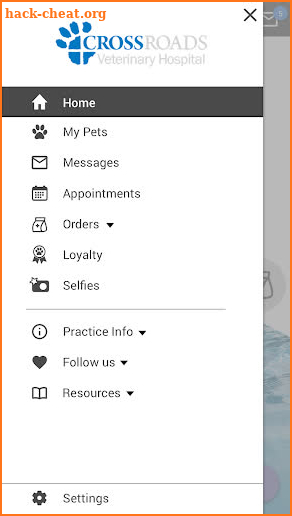 Crossroads Vet Hospital screenshot