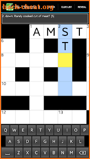 Crossword Cryptic screenshot