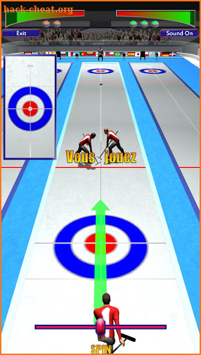 Curling 3D Game Free screenshot