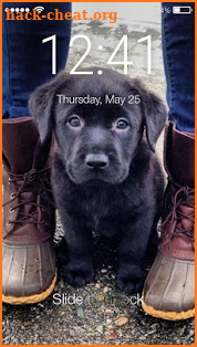 Cute Black Labrador Puppies Screen Lock screenshot