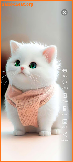 Cute Cat Wallpaper HD screenshot