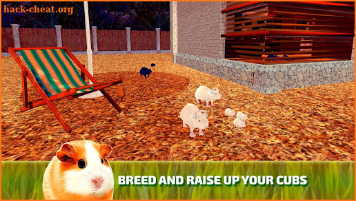 Cute Guinea Pig Home Adventure Simulator 3D screenshot